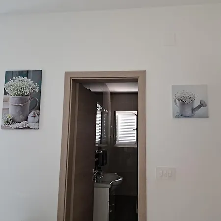 Navis * Supetarska Draga