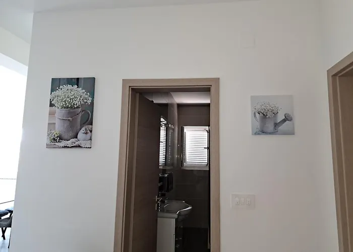 Navis * Supetarska Draga